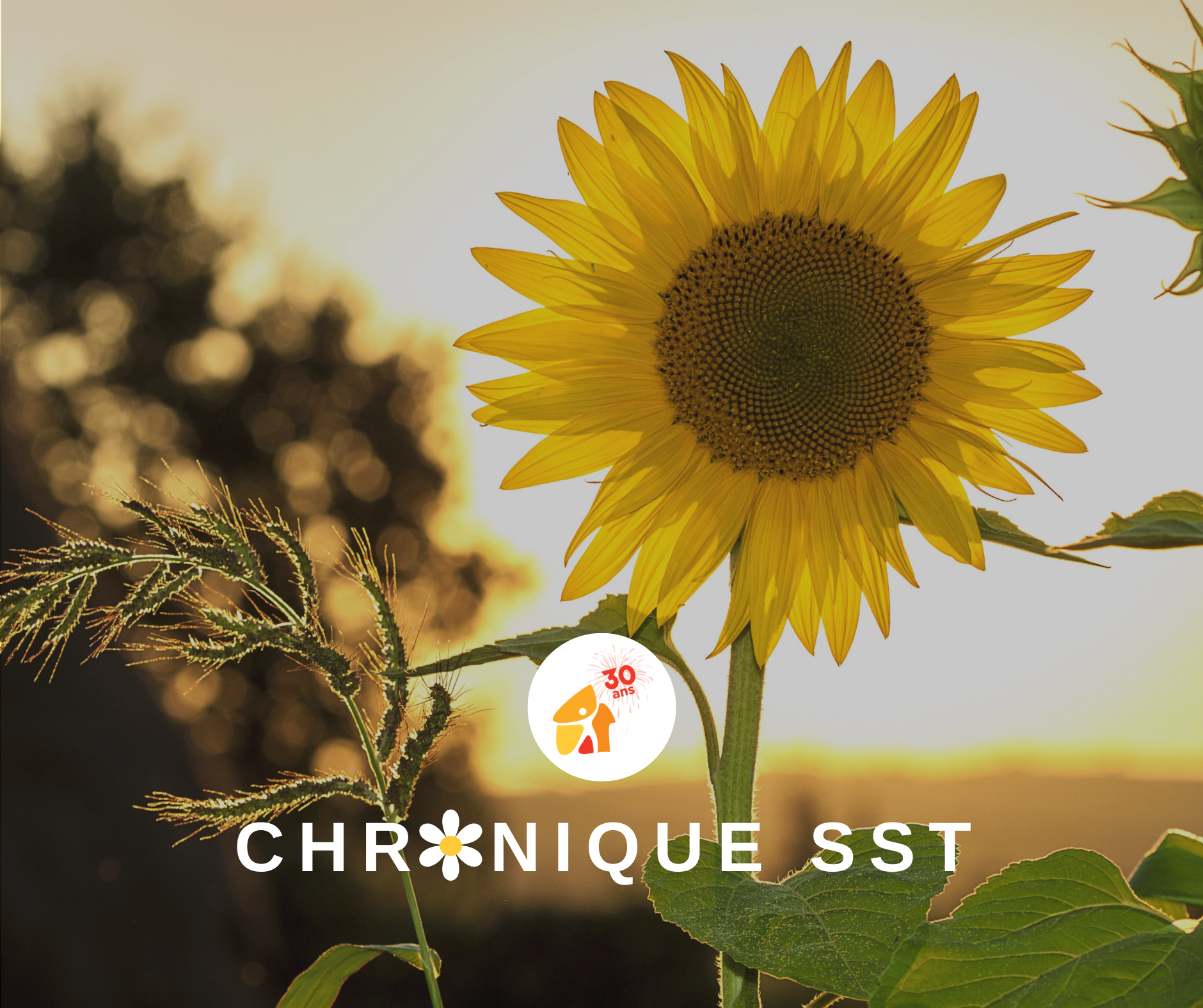 Chronique santé et sécurité au travail ARIHQ